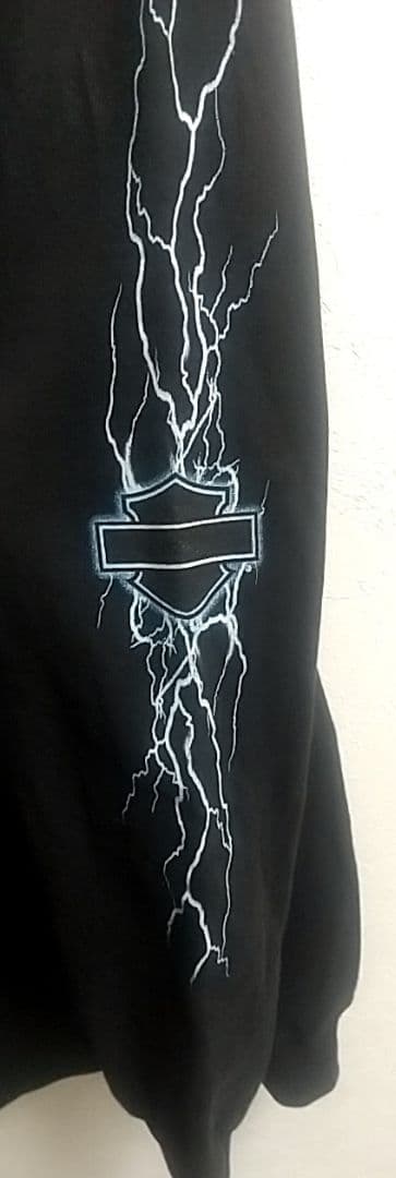 00s HARLEY DAVIDSON サンダー ライトニング　ユーロ古着