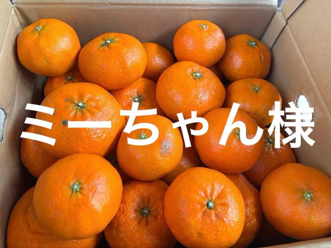 訳あり甘平10キロ