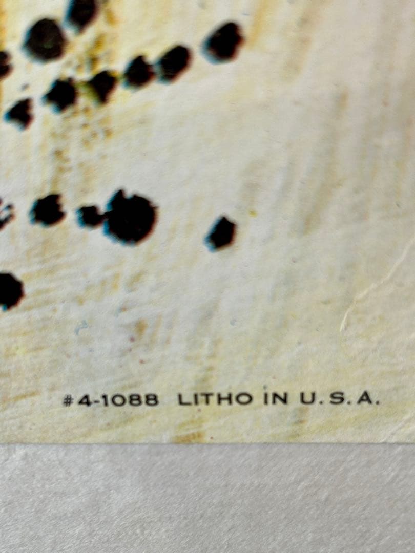 TWA航空ビンテージ オリジナルポスター 60年代