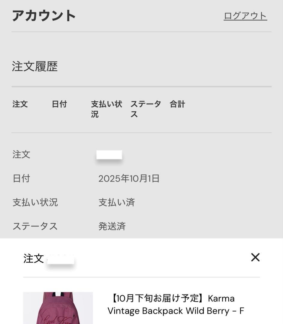 バッグ Sculptor Karma Vintage Backpack