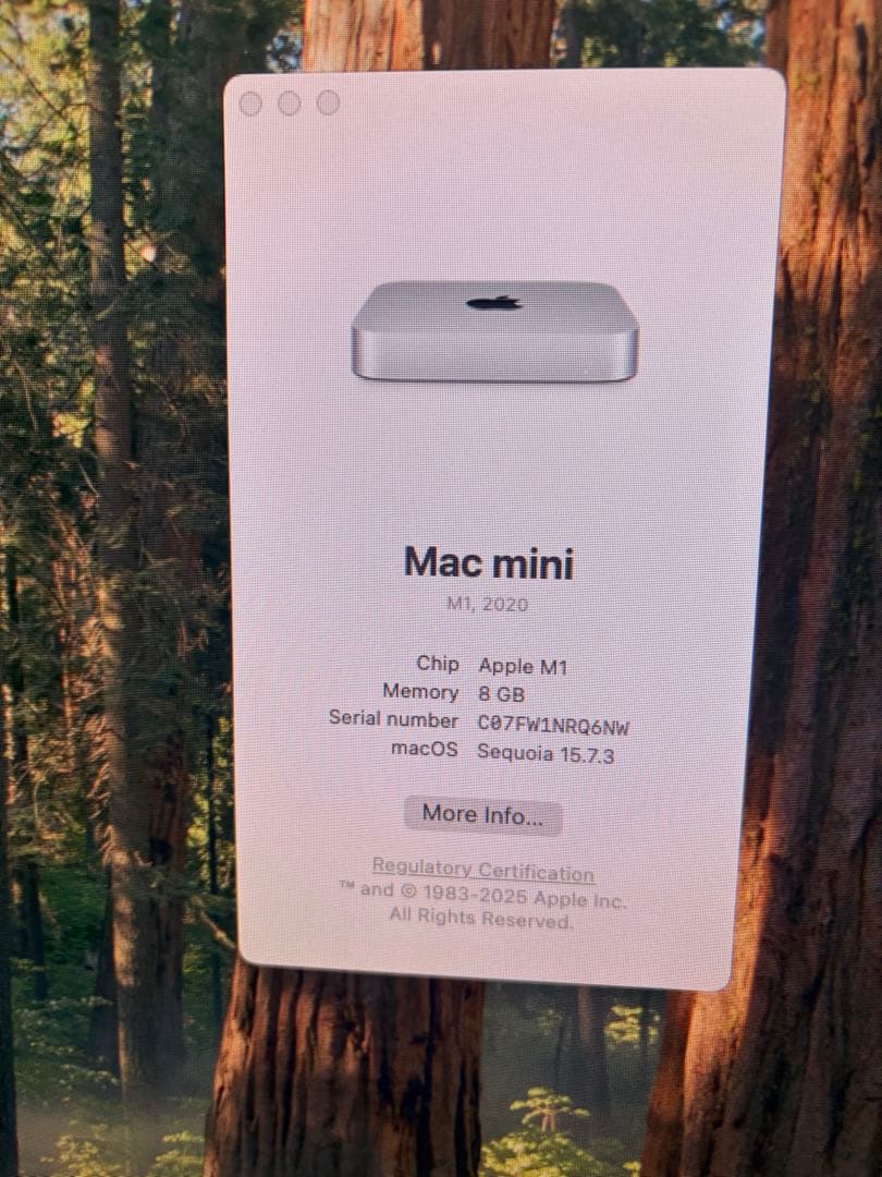 Apple Mac mini (2020)M1 8GB シルバー