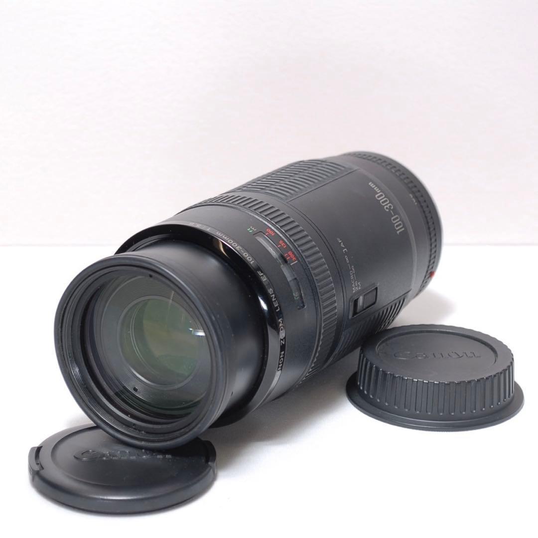 ✨F値固定✨Canon EF 100-300✨超望遠✨ズームレンズ✨スポーツ観戦