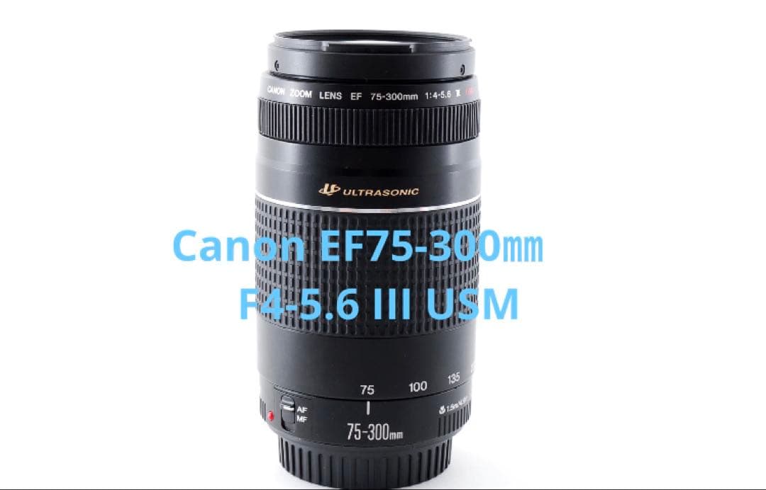 美品　一眼レフカメラCanon EF75-300 F4-5.6 III USM