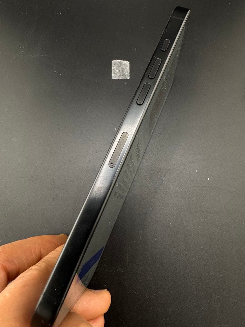 iPhone 16 Pro Max 256GB EU SIMフリー カメラ無音