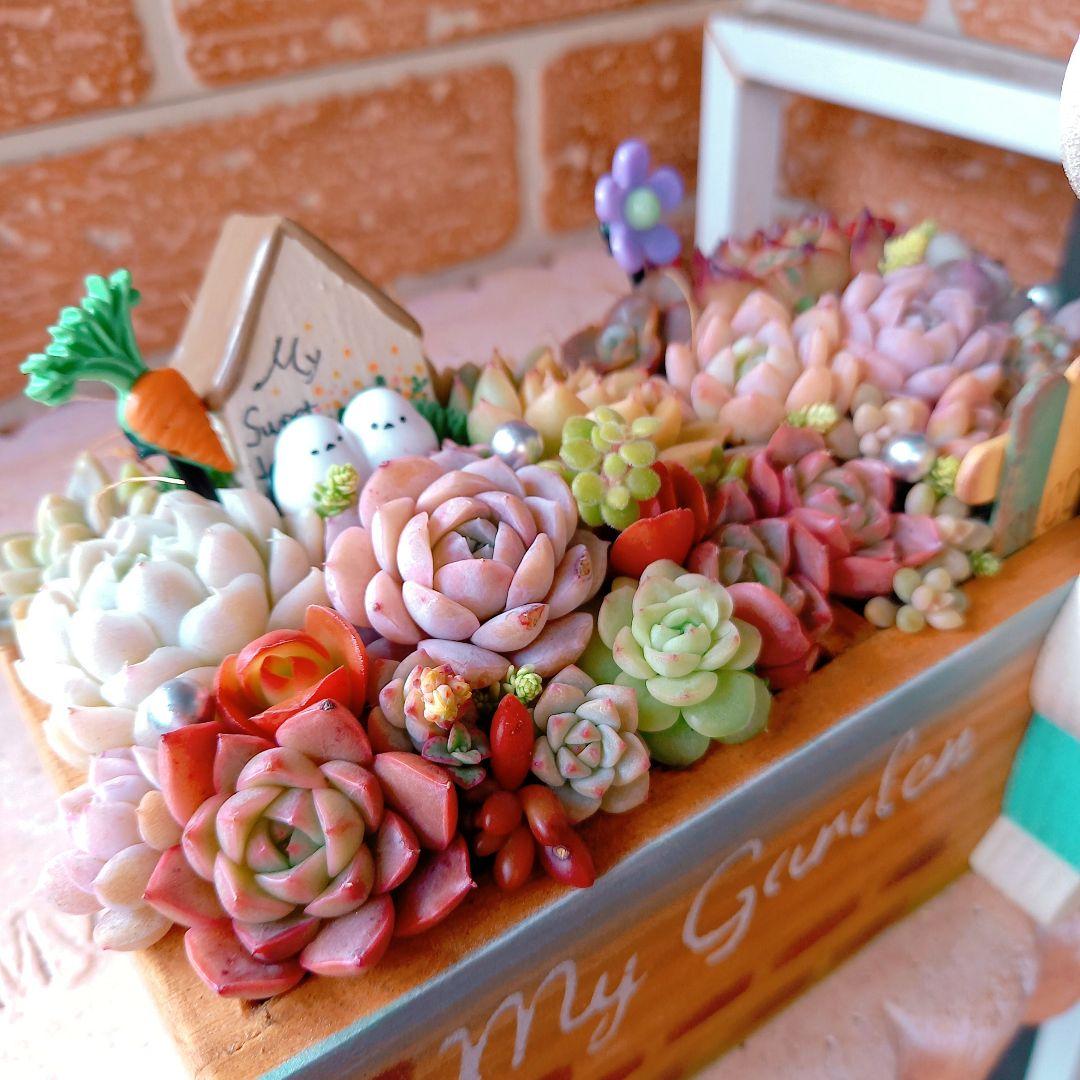 ❤️専用❤️多肉植物❤️そのまま飾れる寄せ植え❤️