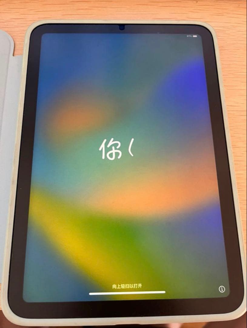 iPad本体 Ipad MiNi 6. 256GB