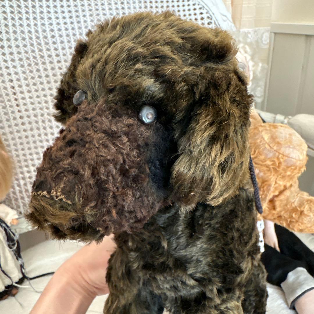 アンティーク 犬 アンティークテディベア アンティークベア フランスアンティーク