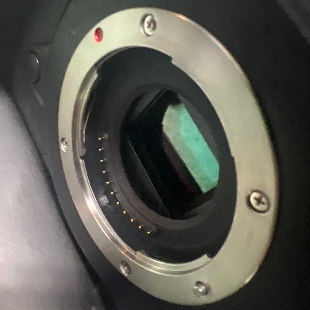 デジタルカメラ Panasonic LUMIX DC-GH5