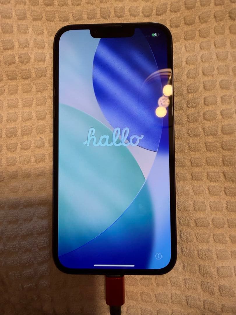 ボンネビルさん専用！Apple iPhone 13 Pro 本体