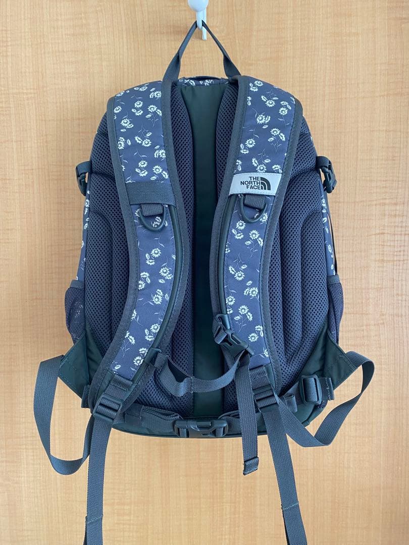 THE NORTH FACE SINGLE SHOT リュック