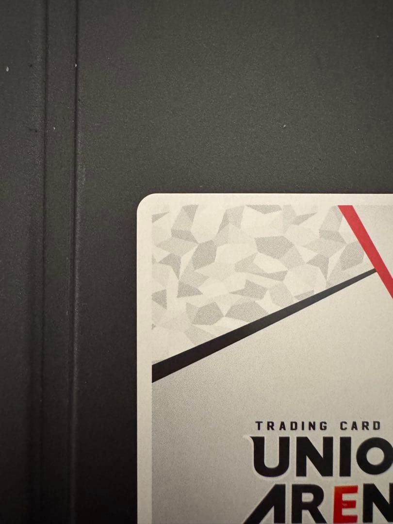 ユニオンアリーナ　マクロスシリーズ　シェリル　ランカ　AP