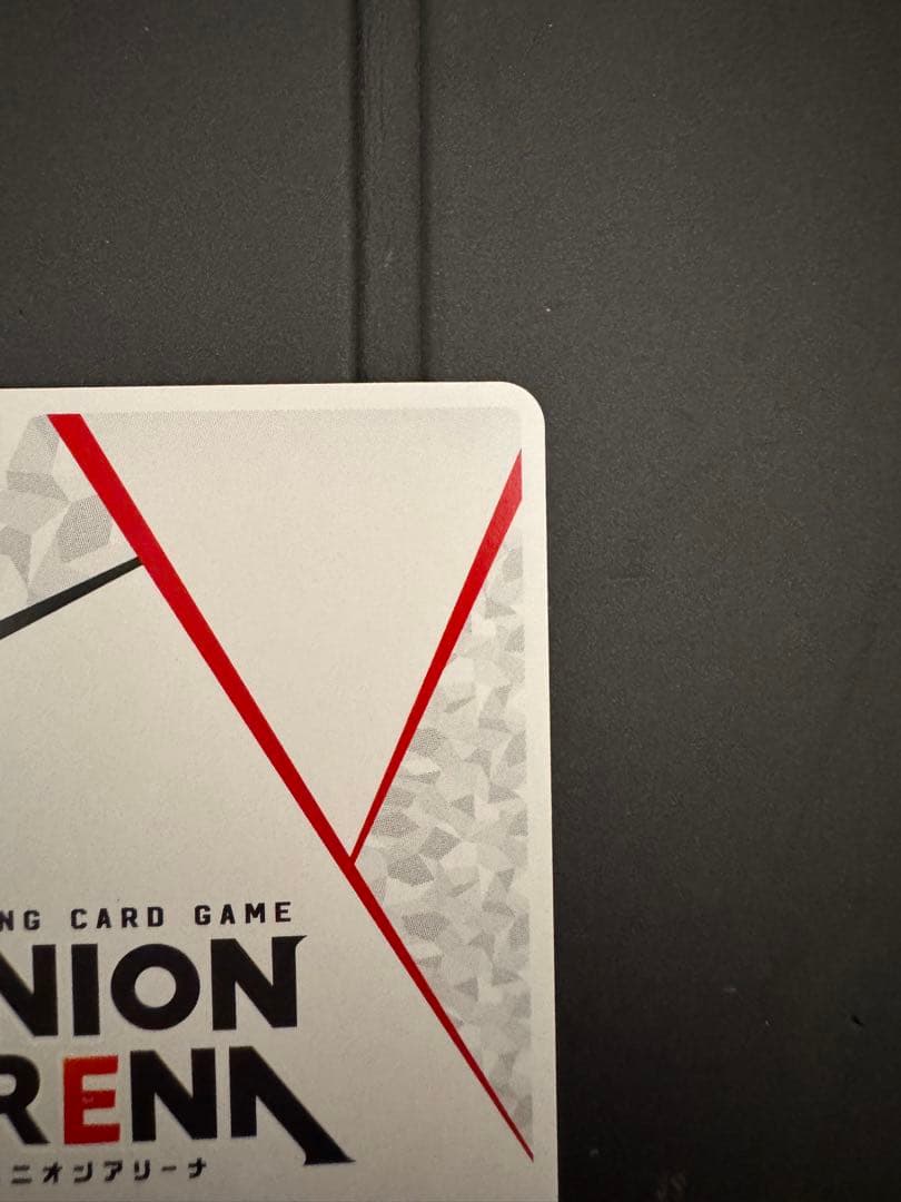 ユニオンアリーナ　マクロスシリーズ　シェリル　ランカ　AP