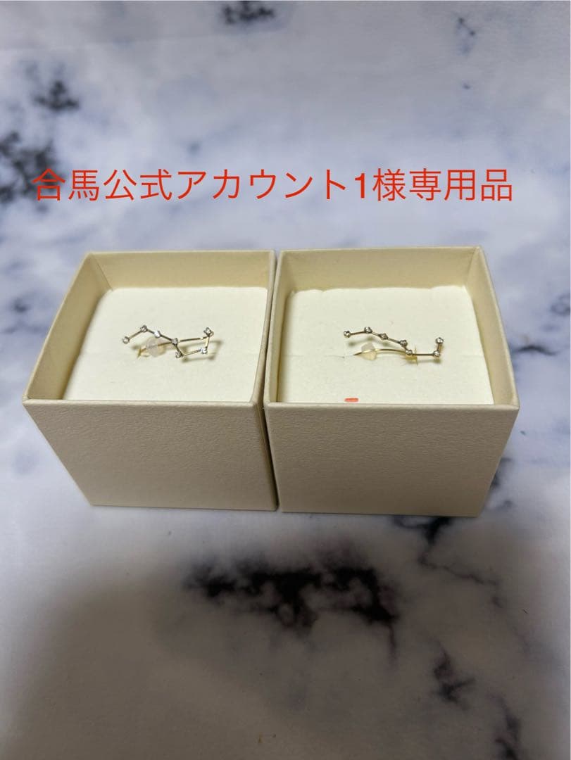 Web限定 ＊ NOJESS ノジェス ピアス 北斗七星　10K ※専用品※