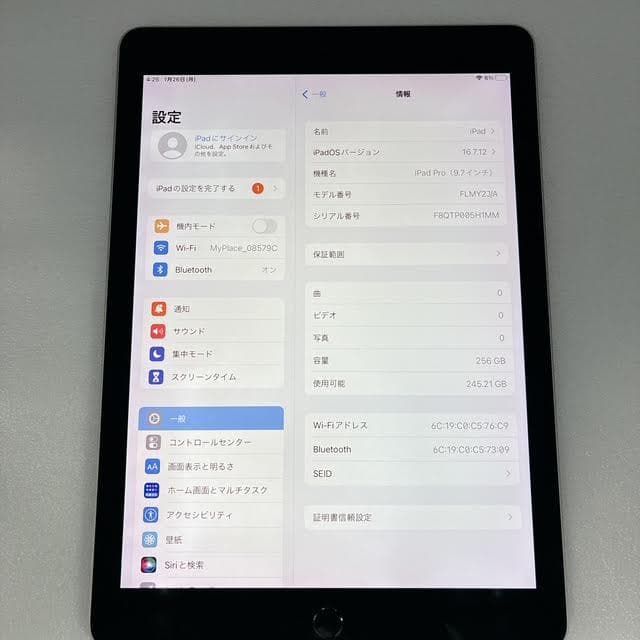 【極美品】iPad Pro 9.7インチ 256GB FLMY2J/A スペース