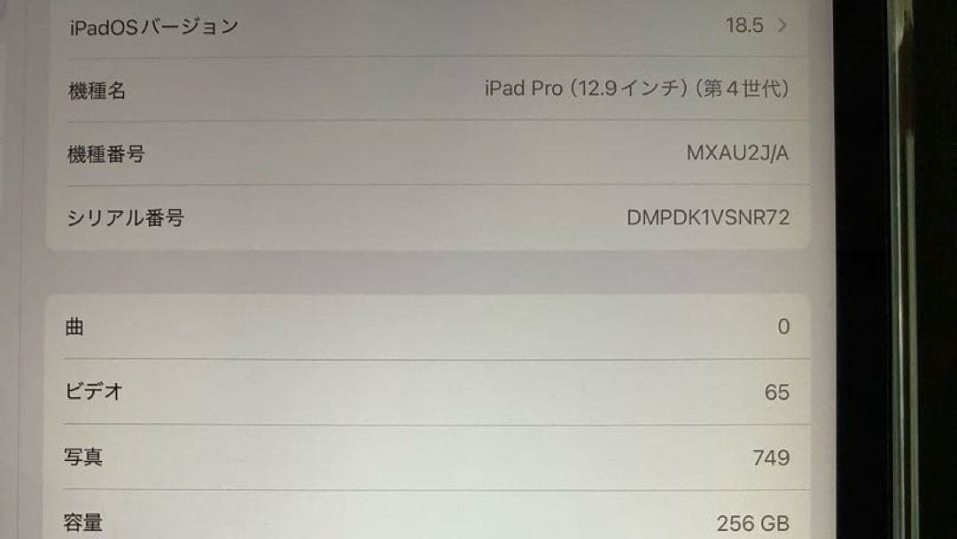 iPad Pro 第4世代 12.9インチ256GB Apple Pencil