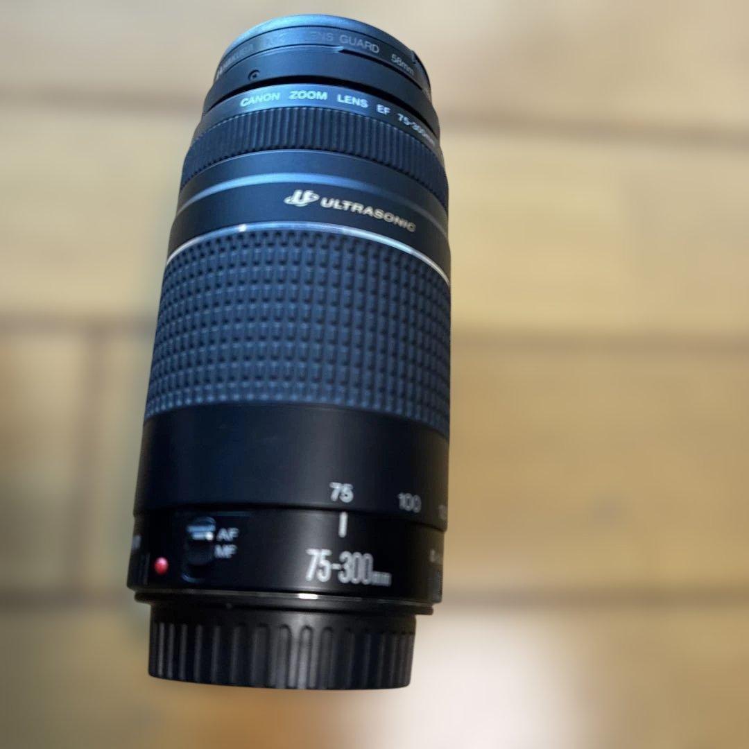 Canon ズームレンズ 28-80mm 75-300mm セット