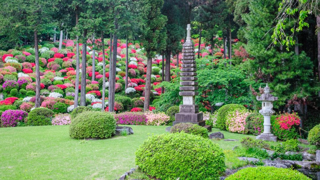 美品 Nikon AF Nikkor 35mm f/2D レンズ – 日本製