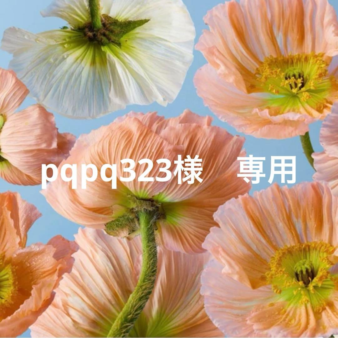 pqpq323　翌日発送