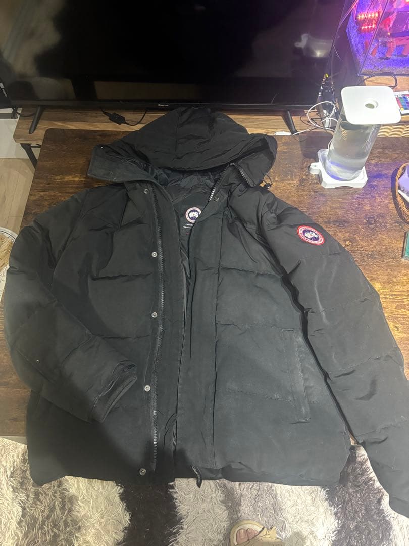 ハルちゃん専用