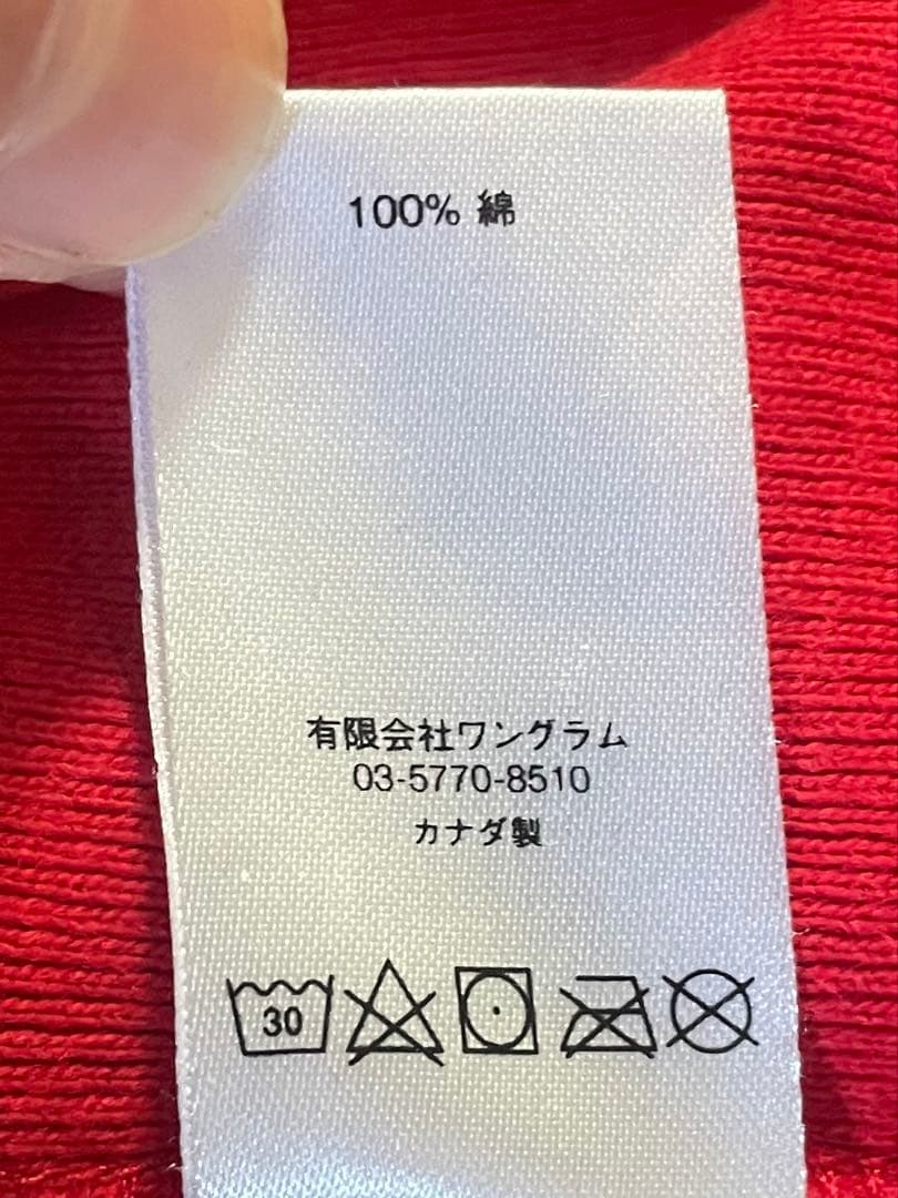 Supreme レッド パーカー テリー・リチャードソン　リバースウィーブ型