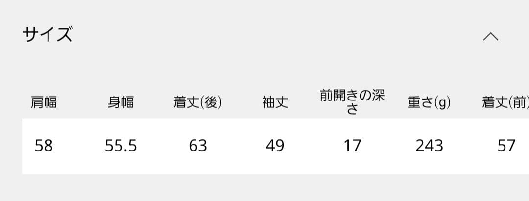 AP STUDIO フォックス ブレンドラメVネックプルオーバー