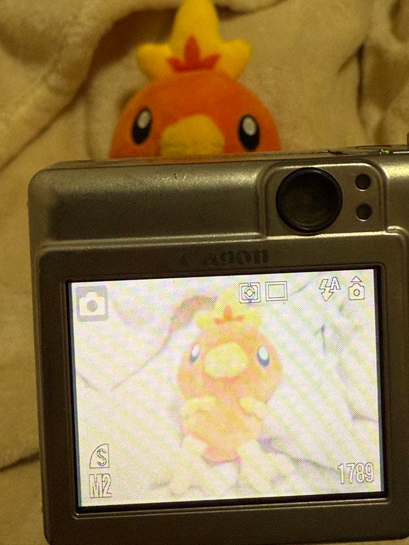 Canon IXY DIGITAL 55 デジカメ シルバー