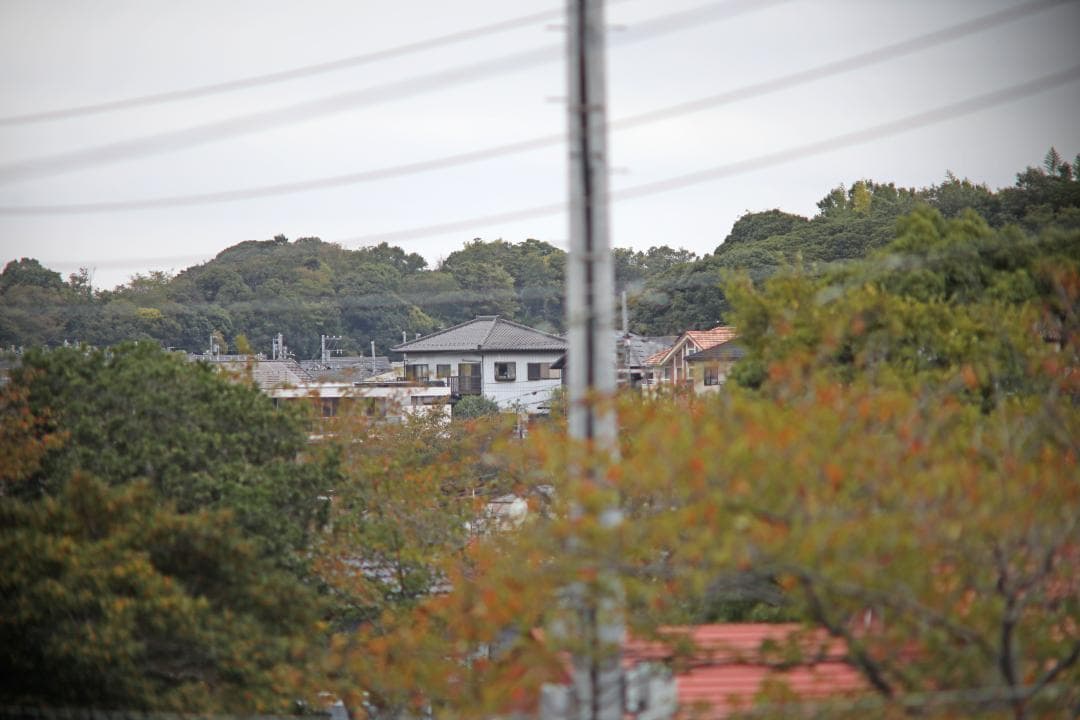 レンズ(単焦点) Pentax Super Takumar 300mm F4 #7718