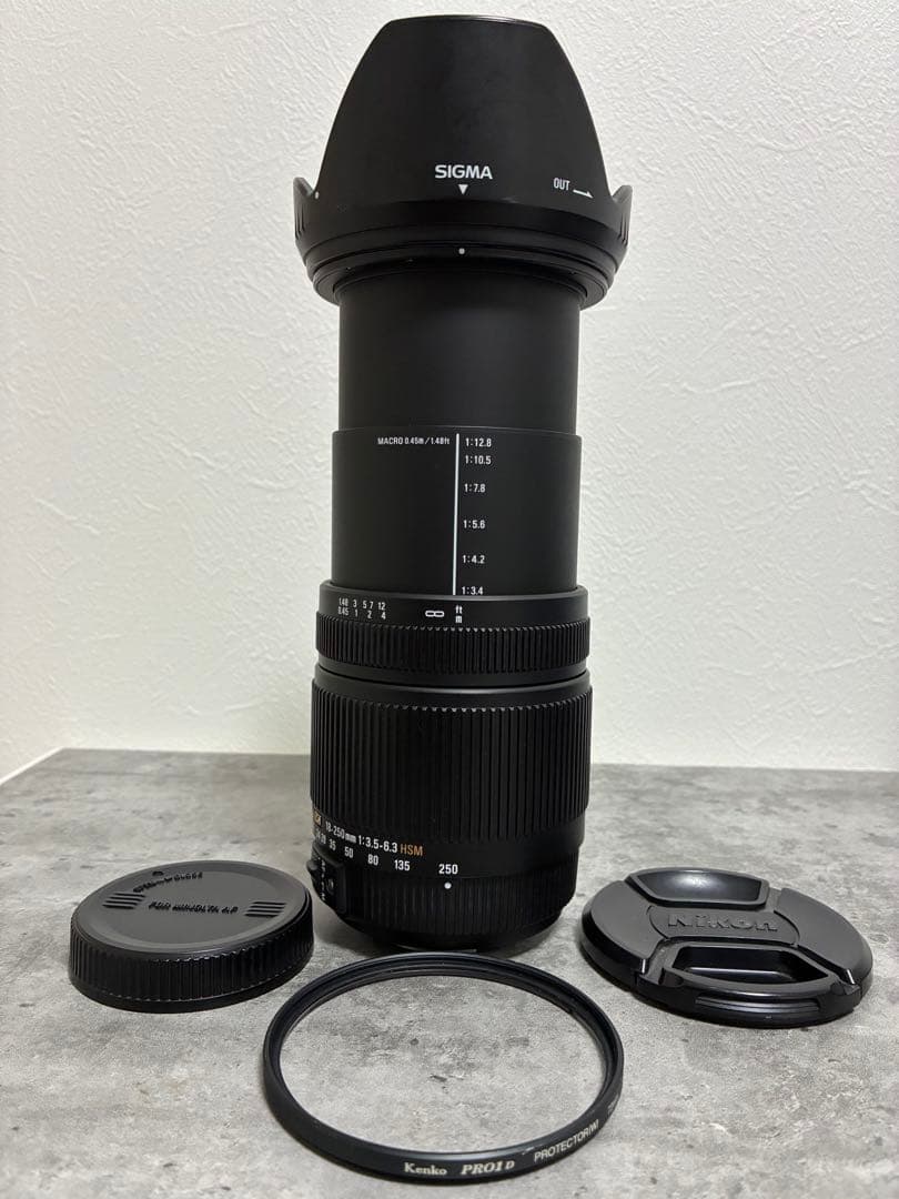 ⭐️美品⭐️SIGMA 18-250mm 3.5-6.3 DC OS HSM ソニー