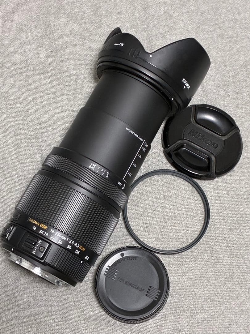 ⭐️美品⭐️SIGMA 18-250mm 3.5-6.3 DC OS HSM ソニー