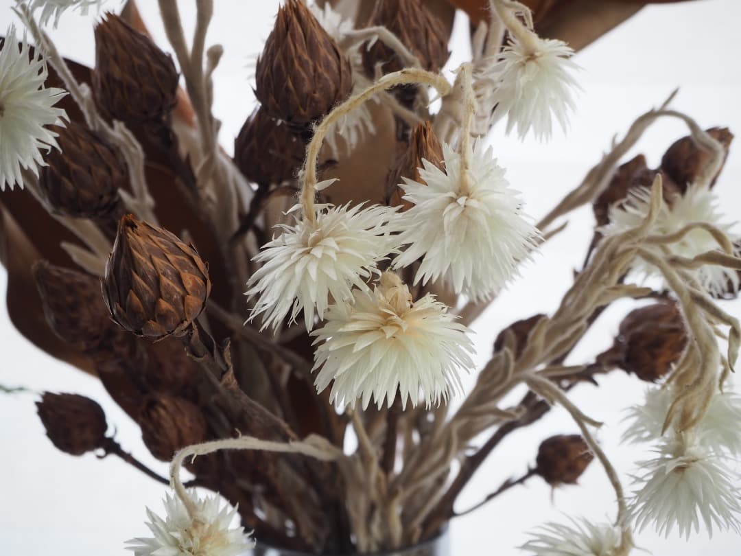 極美品／OLYMPUS OM-D E-M10 Mark III Wレンズキット