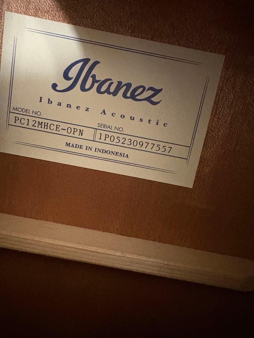 Ibanez アコースティックギター ギターケース付き　　エレアコ