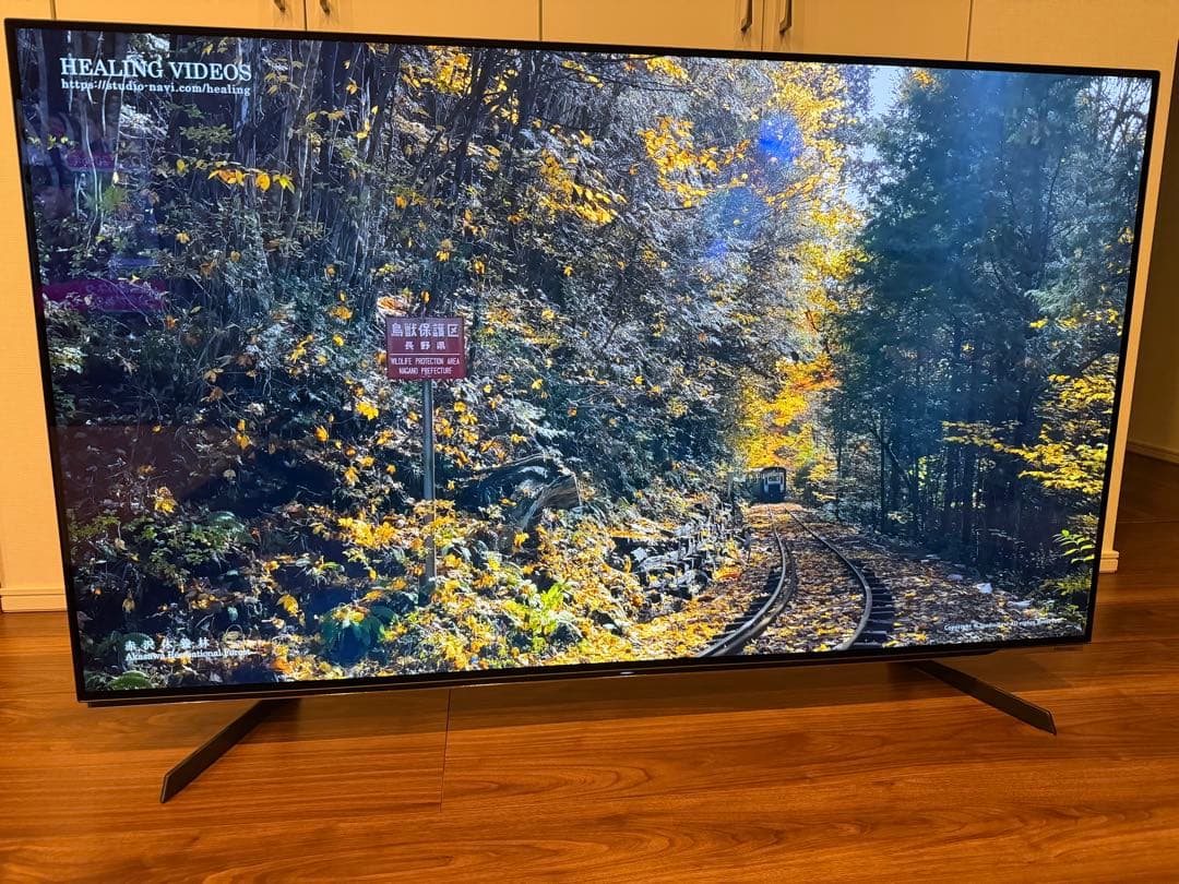 【極美品】Hisense 55X8F 55インチ 有機ELテレビ