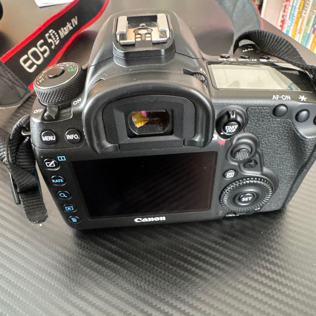 CANON EOS5D mark Ⅳ レンズ2個付き