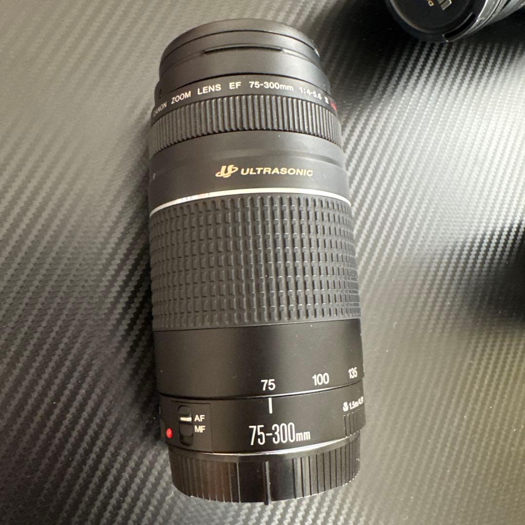 CANON EOS5D mark Ⅳ レンズ2個付き