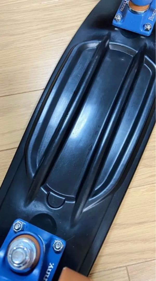 Penny ペニー 22インチ RAVEN FESNカスタム　ミニクルーザー