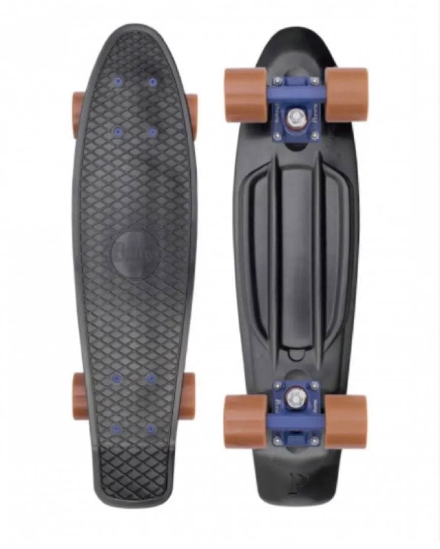 Penny ペニー 22インチ RAVEN FESNカスタム　ミニクルーザー