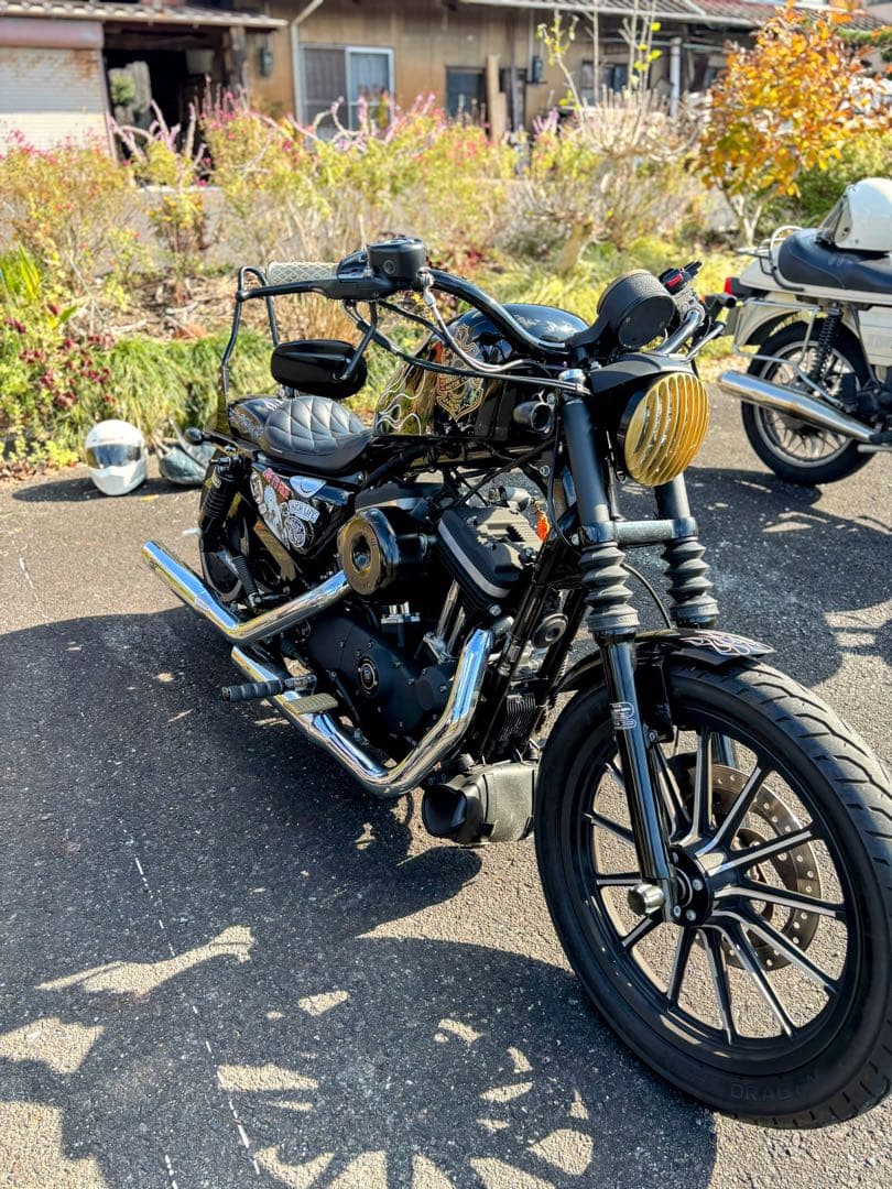 目玉 絶版 イージーライダース ダイアゴラムソロシート ハーレースポーツスター