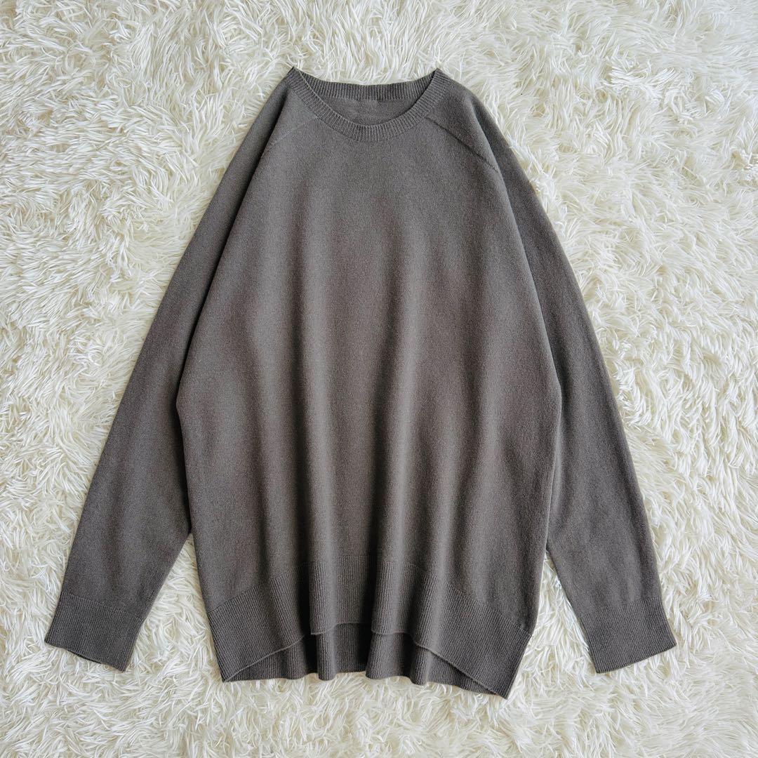 【極美品✨】ドゥーズィエムクラス　CAPRIクルーネックプルオーバー 近年