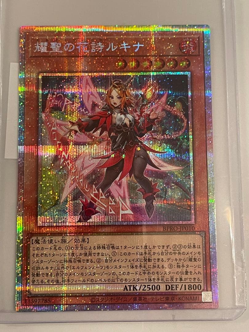 遊戯王　黒き竜のエクレシア＆耀聖の花詩ルキナ　プリシクセット