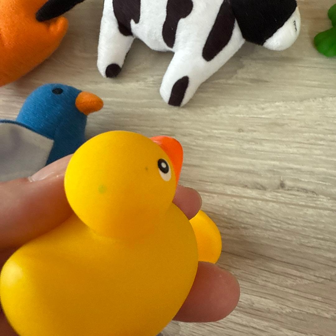 プレイアロング最新版　DWE ディズニー英語システム