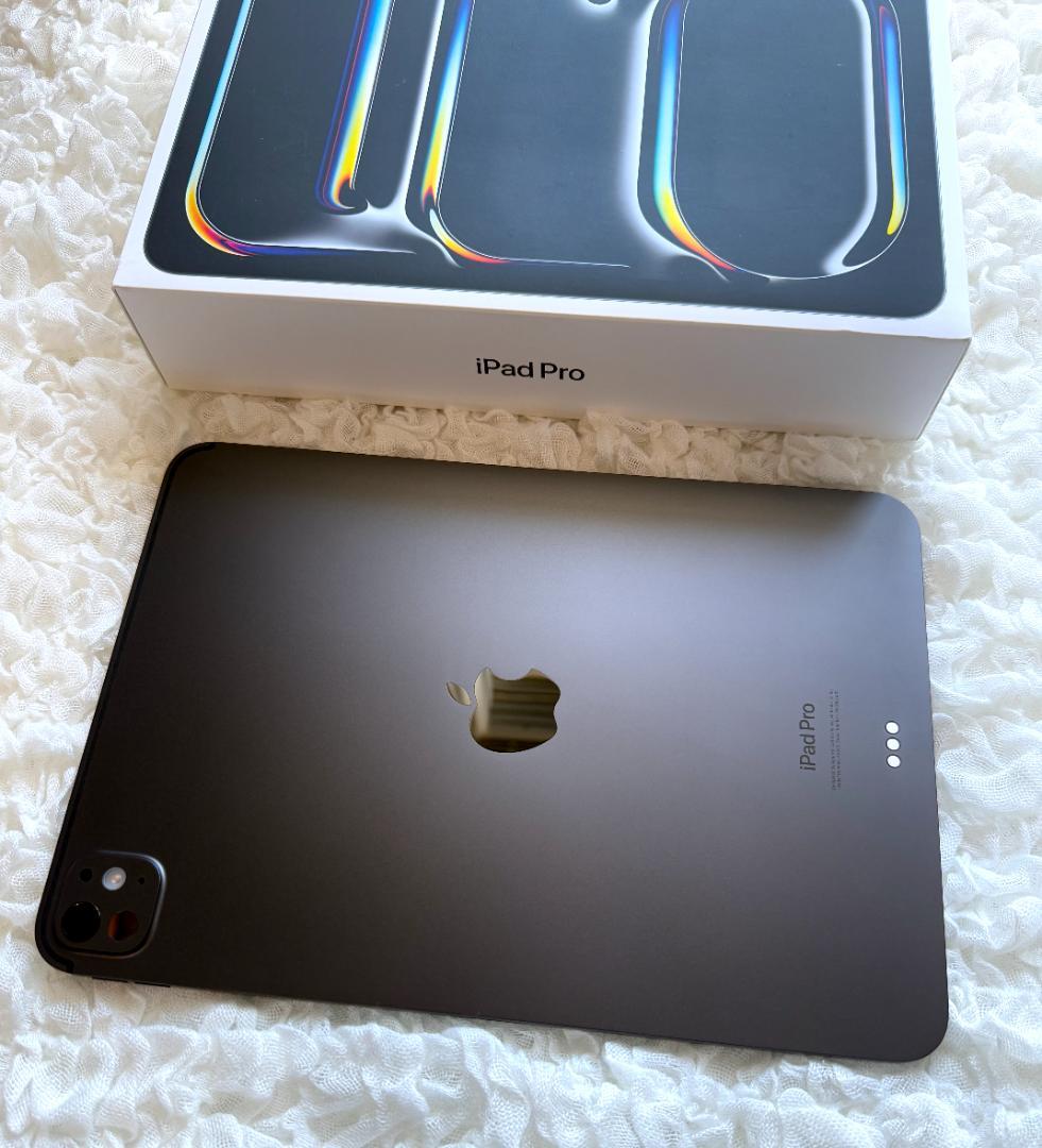 iPad Pro M4 11インチ 256GB 美品 (フィルム・ケース有り)