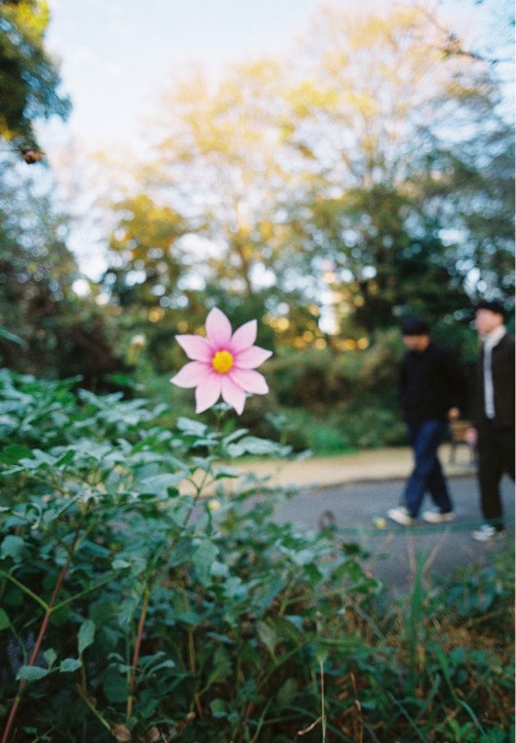 コンタックス G1 CONTAX