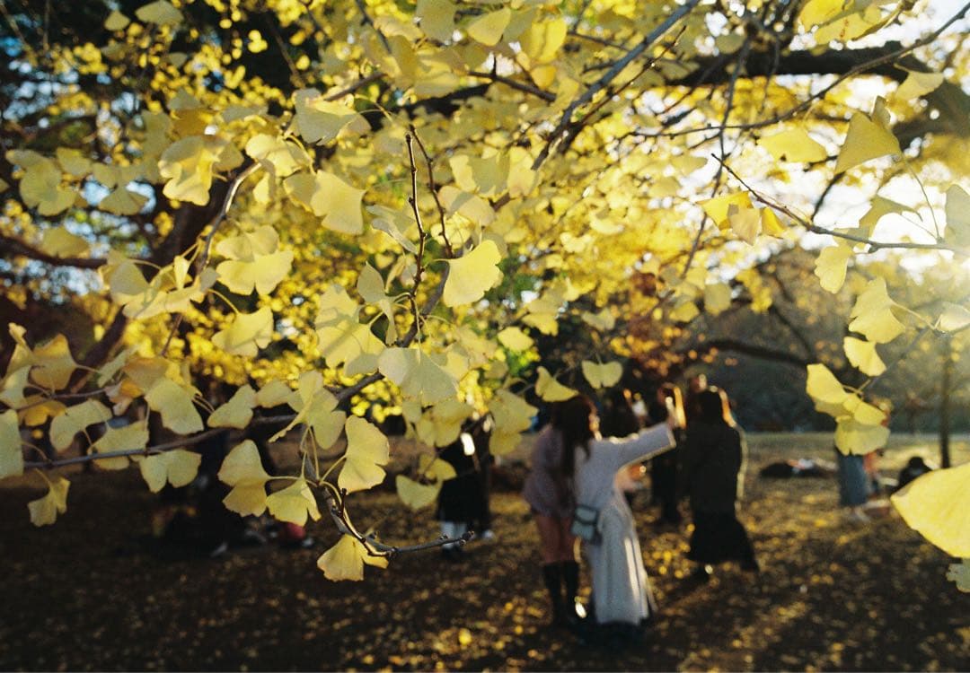 コンタックス G1 CONTAX