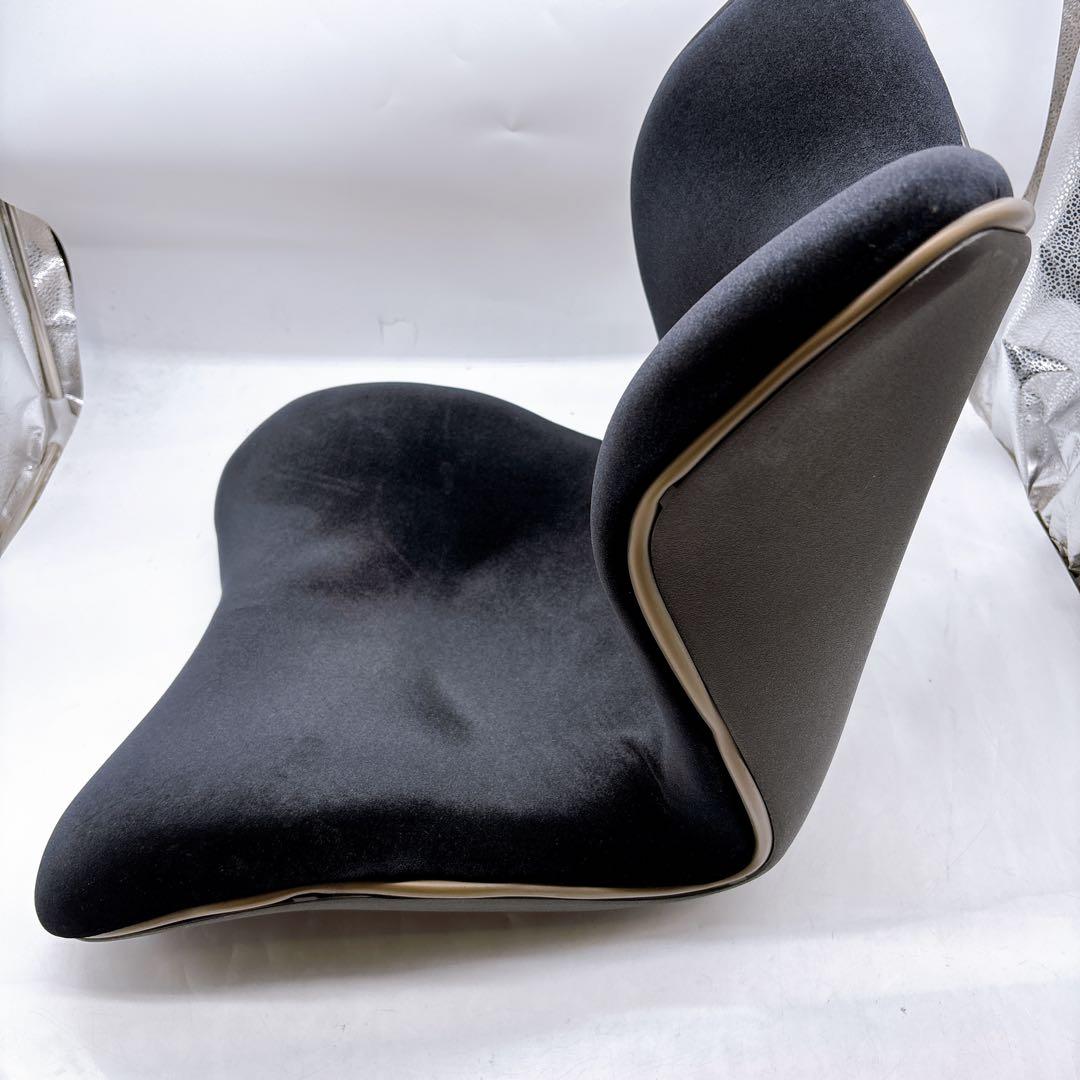 Style PREMIUM DX スタイル プレミアム デラックス　ブラック