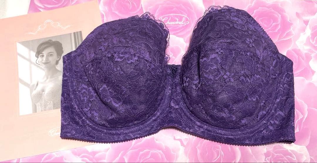 新品未使用　シャンデール　エレガントブラジャー E75 バイオレット