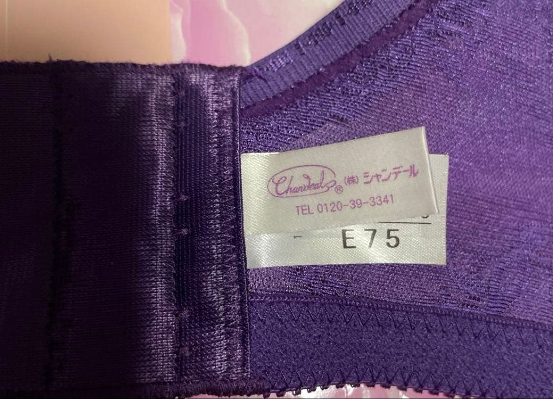 新品未使用　シャンデール　エレガントブラジャー E75 バイオレット