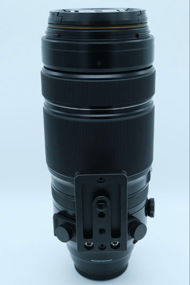 ダンシングフィッソン族 　XF100-400