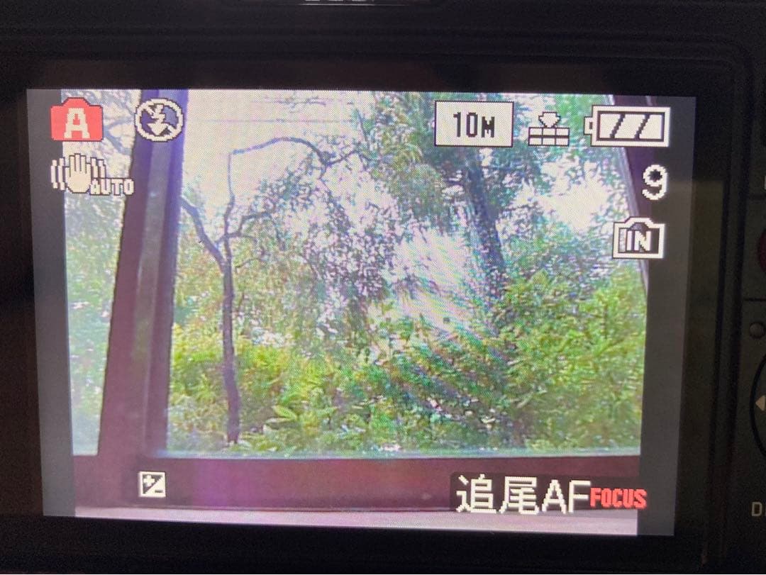 ライカ　Leica D-LUX 4 CCD搭載機