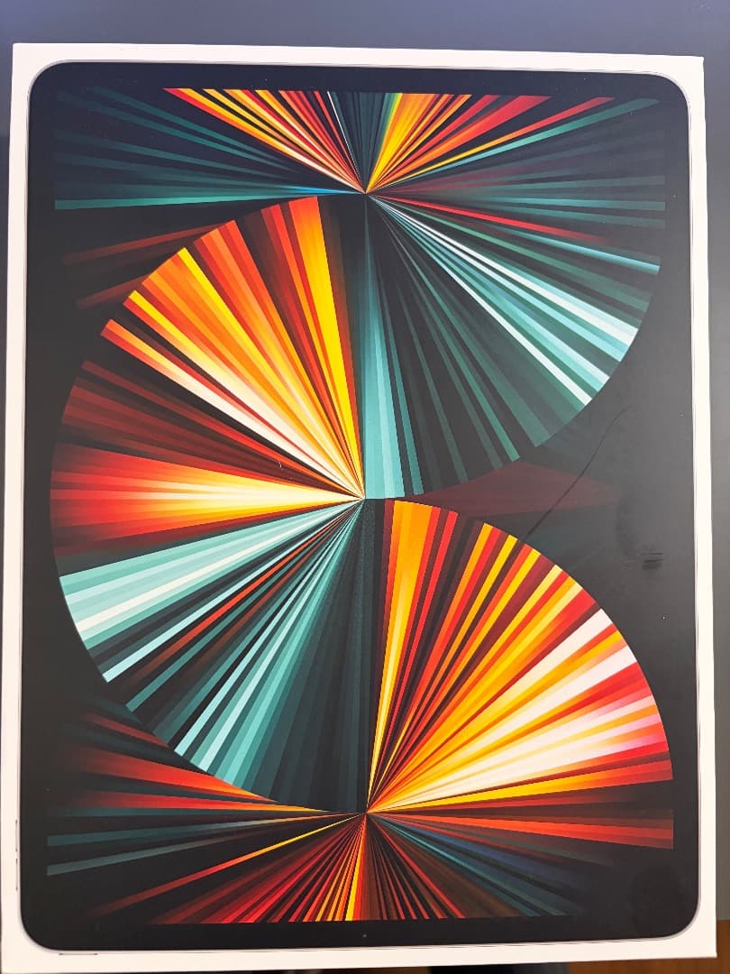 さ*)様 iPad Pro 12.9 第5世代(M1) 256GB Cellul