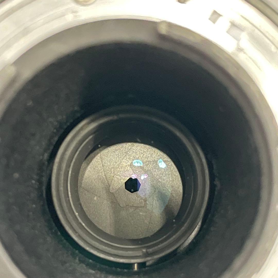 【F】NIKKOR 300mm f/4.5 ズームレンズ